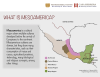 01 Activity - What is Mesoamerica