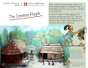 06 Activity - Maya Common People
