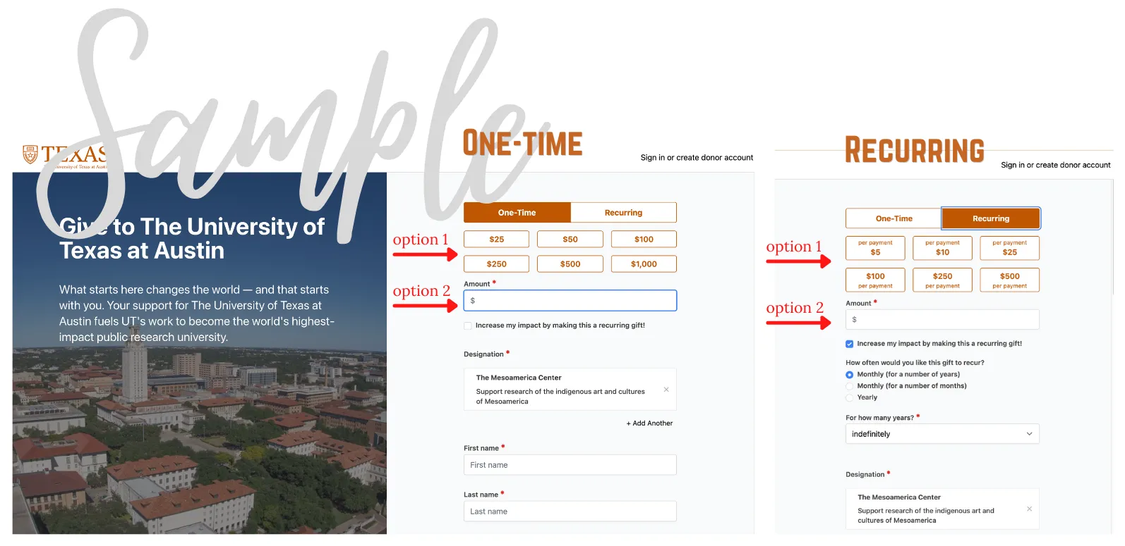Image of updated sample of how to complete an online donation.