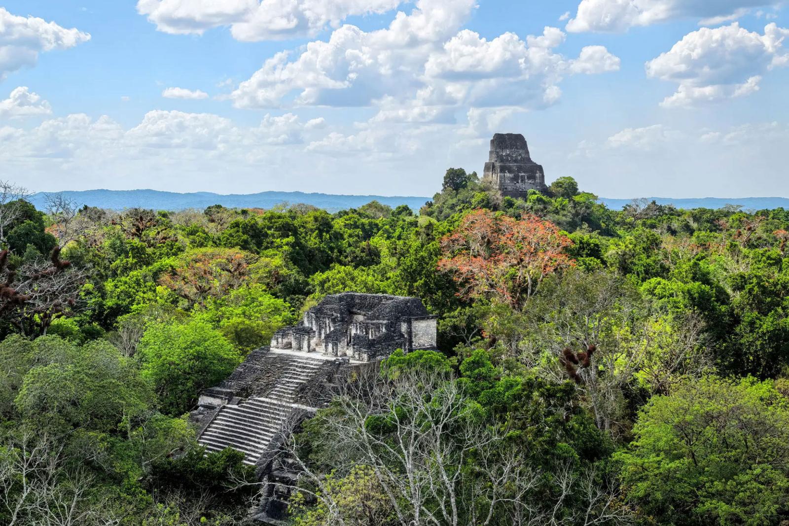 Tikal pyramid visible over treeline