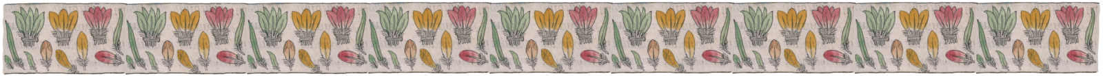 Florentine Codex feathers banner 2