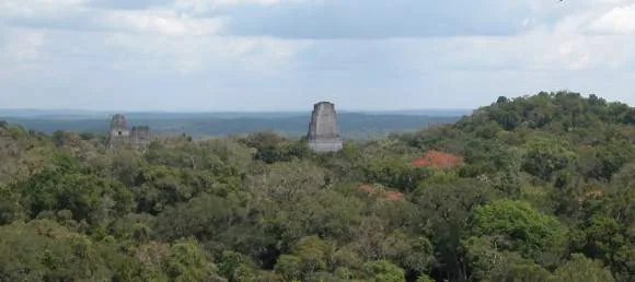 Tikal - 2014 Maya Meetings